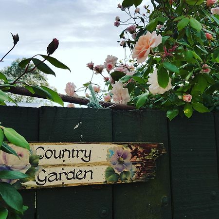 Dragonflycottagebnb Grovetown Zewnętrze zdjęcie
