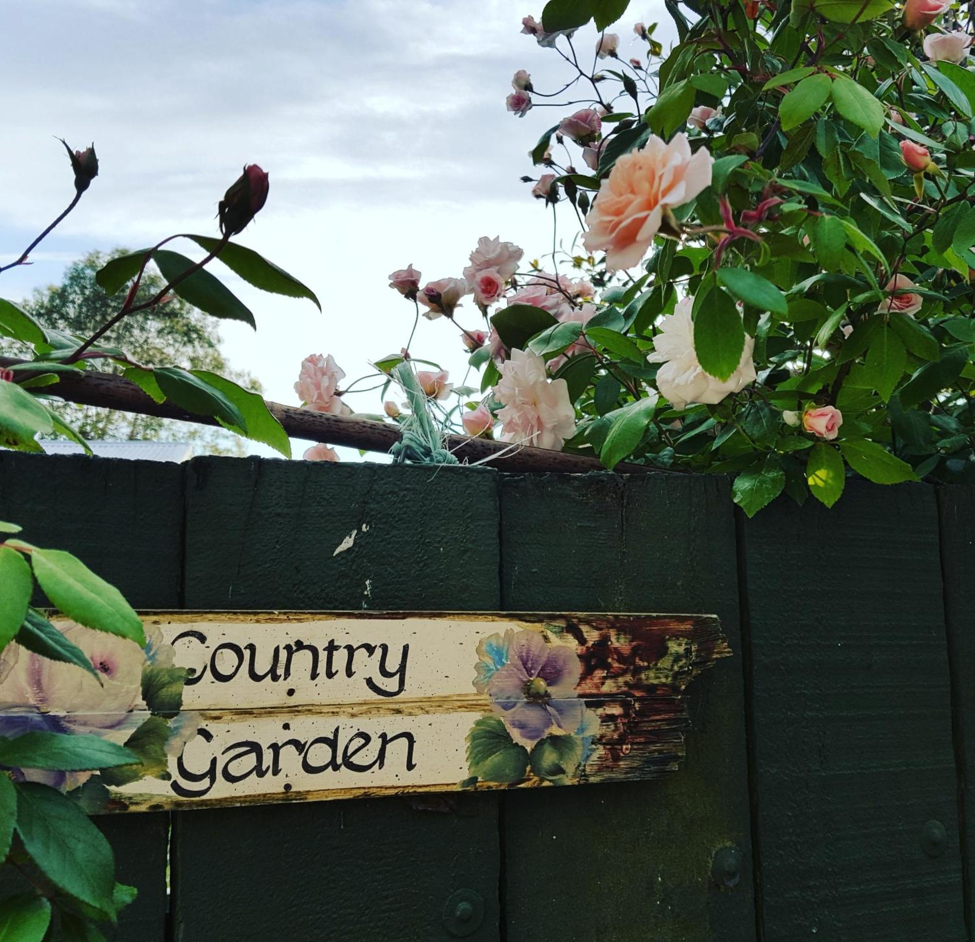 Dragonflycottagebnb Grovetown Zewnętrze zdjęcie